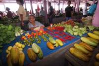 Nabucco´s Cape Paperu Resort Market Nabucco´s Cape Paperu Resort Market