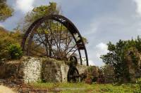 Tobagonische Natur Tobagonische Natur