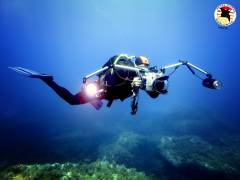 Tauchen auf Malta Tauchen auf Malta